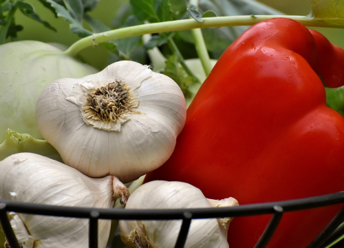Pet prirodnih antibiotika koje možete naći u vlastitoj kuhinji