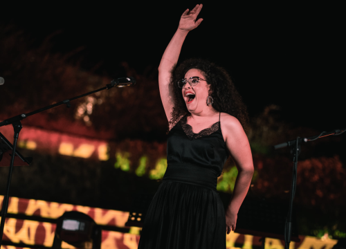 Na Baroneu se sinoć slušala opera pod zvijezdama, evo dijela atmosfere