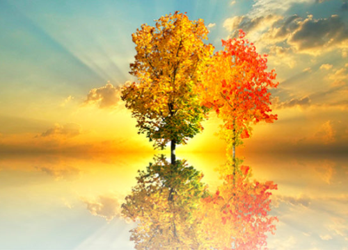 Jesenski horoskop za novac i bogatstvo