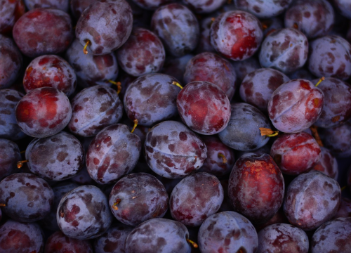 Recept za savijaču sa šljivama zbog koje ćete još više žaliti za ljetom