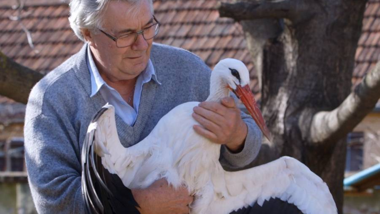 Fenomenalni dokumentarac 'Starac i roda' dostupan online, pogledajte priću o Stjepanu i Malenoj