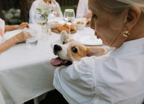 Ovo su tri horoskopska znaka koja žive najduže: Provjerite koga očekuje dug i sretan život