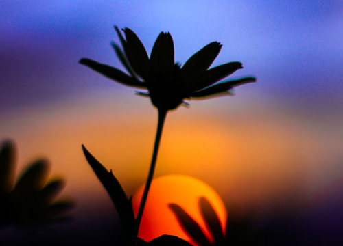 Najsretniji znakovi će biti Ovan, Vodenjak i Škorpion