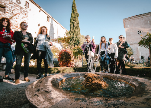 Fotografija 23 - Od brudetože, priko buklije do dišpetože: Šibenski vodiči odličnom turom do suza nasmijali sugrađane