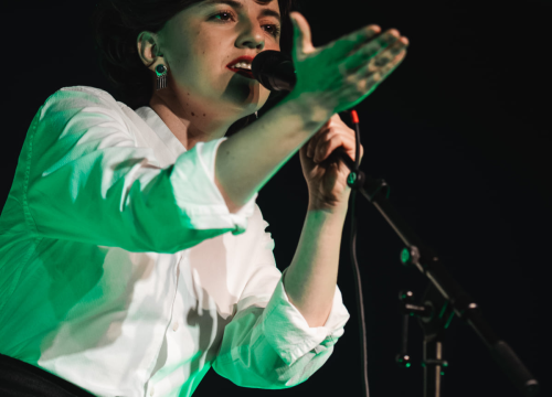 Fotografija 4 - Pozitivne emocije i lijepe uspomene: Maja Posavec i Ivan Kapec oduševili šibensku publiku