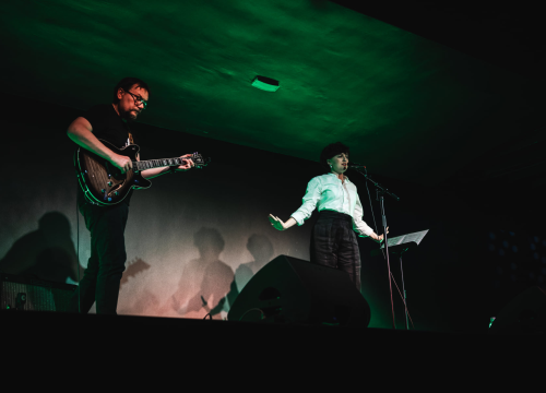 Fotografija 14 - Pozitivne emocije i lijepe uspomene: Maja Posavec i Ivan Kapec oduševili šibensku publiku