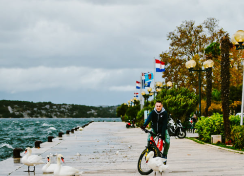 Fotografija 4 - Jako jugo smeta svima: Labudovi se prebacili na rivu, nema odmora na uzburkanom moru