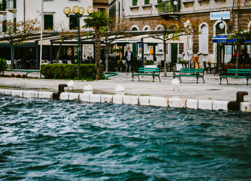 Fotografija 9 - Jako jugo smeta svima: Labudovi se prebacili na rivu, nema odmora na uzburkanom moru