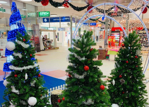 Zabavi se, odigraj Dalmare Božićni kviz i osvoji vrijedne nagrade!