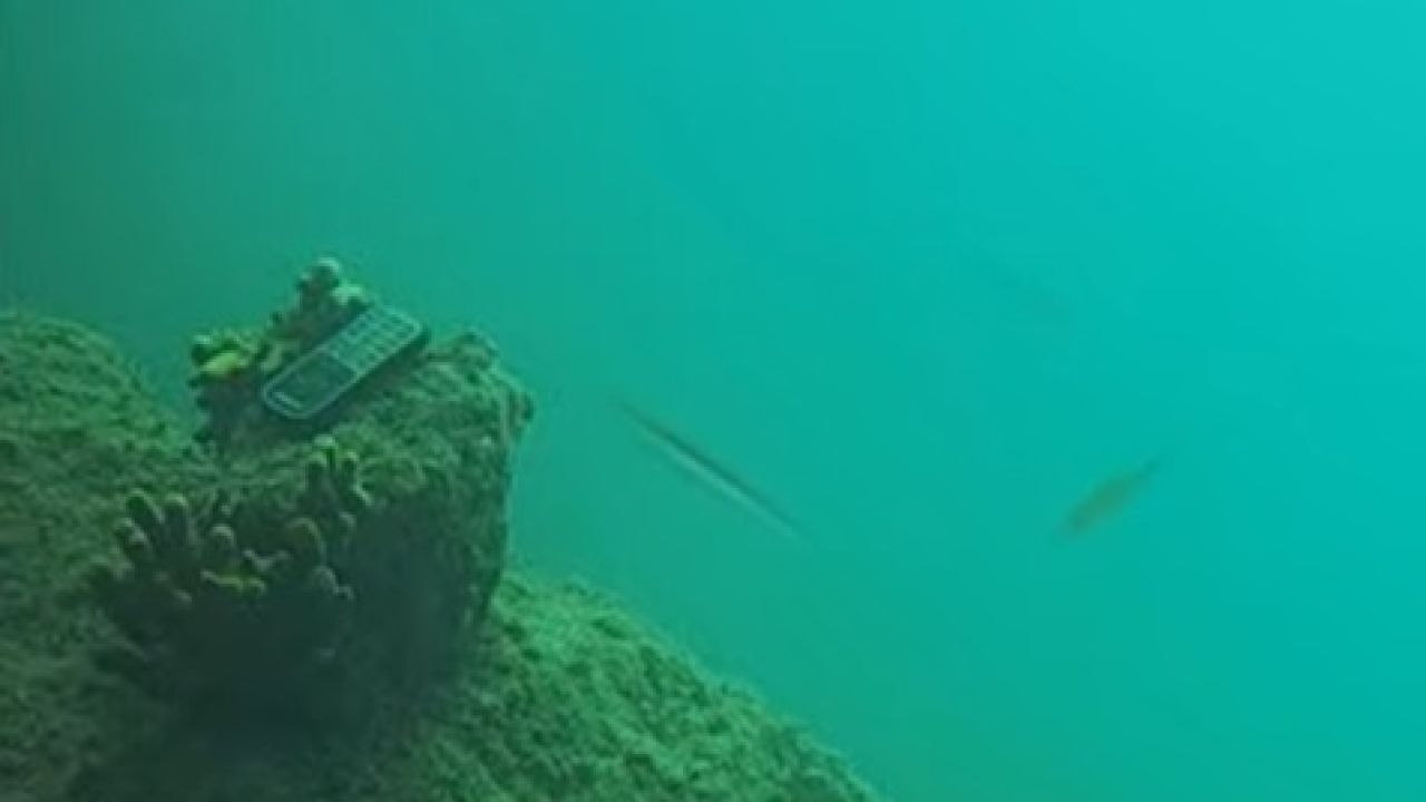 Mobitel osvanuo na dnu mora, točno ispred podvodne kamere: Snimka pokazala što se dogodilo