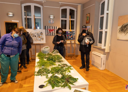 U Gradskoj knjižnici Vodice započela radionica samoniklog jestivog bilja