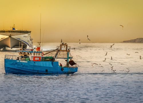 Više od sto tisuća mrtvih riba kod francuske obale