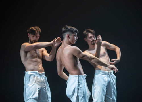 U Šibenik stiže plesna predstava koja je uoči premijere zapalila dating aplikacije!