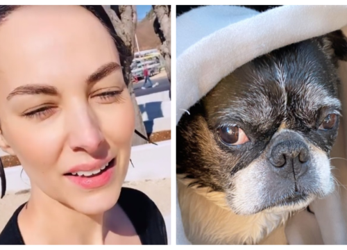 Tatjana Jurić skočila u Krku da spasi kujicu Jackie: 'Mislila sam da će mi srce otkazati'