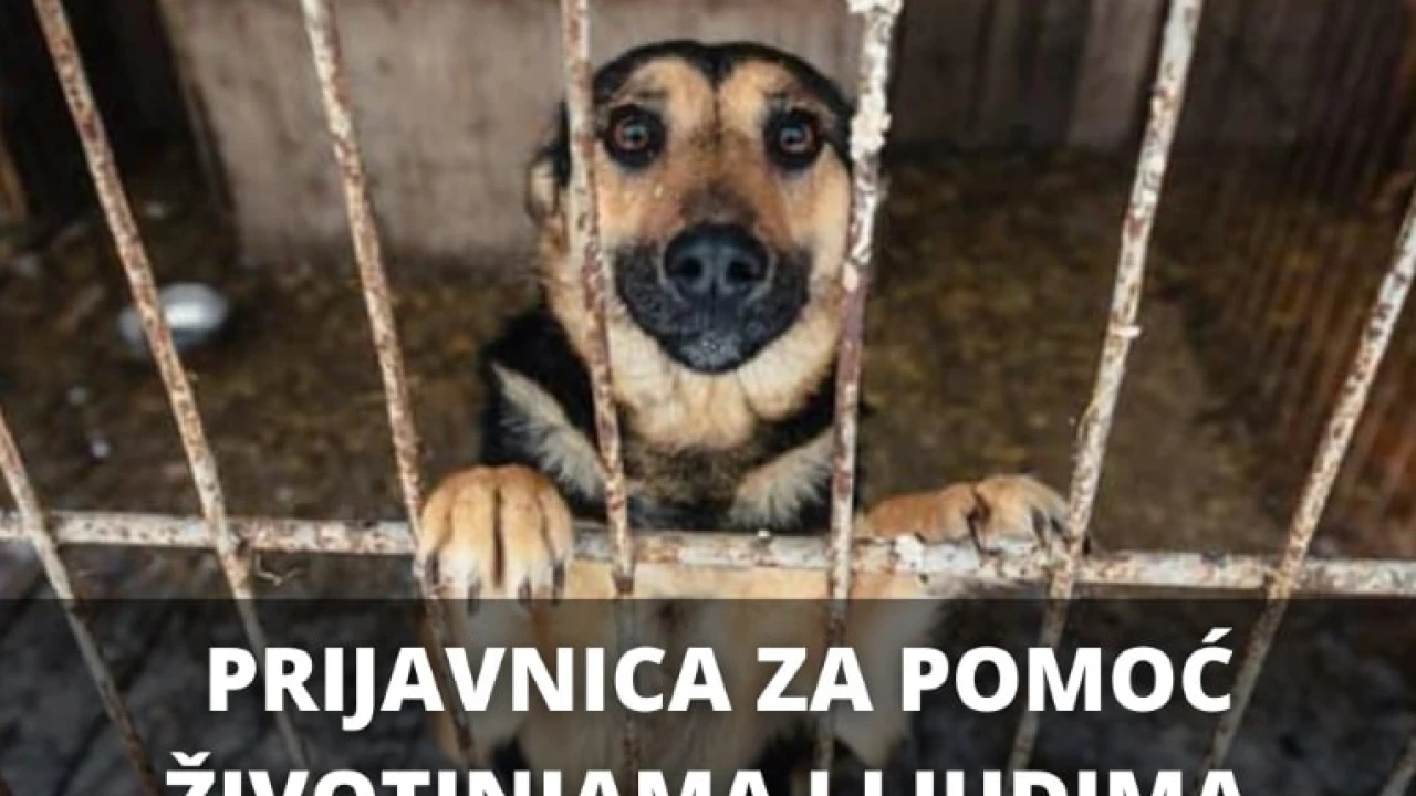 Ukrajini pomažu i udruge za životinje: Ako se želite uključiti, ispunite prijavnicu