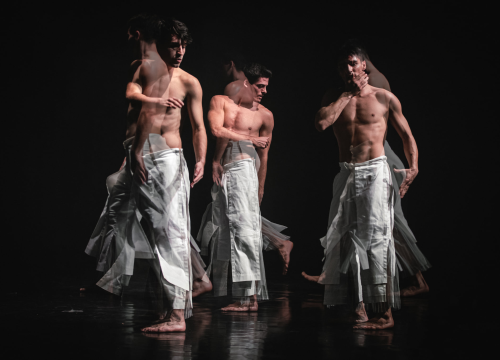 'Boys Boys Boys' sinoć u Arsenu: Šibenčanke uživale u ekspresivnom muškom plesu