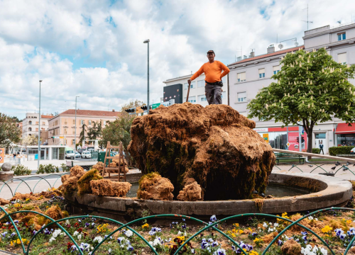 Uklonjen dio sedre kojemu je prijetilo urušavanje: Opet će zazeleniti, a kornjače dobivaju sunčalište