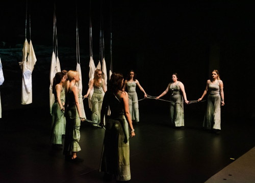 ‘Sjene‘ ponovo izvele predstavu 'Madness' prema knjizi Šibenčanina Dina Seksa