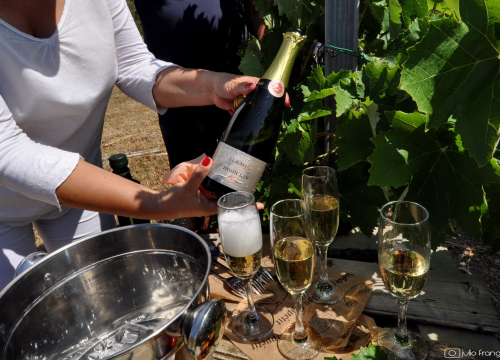 Fotografija 12 - Iskoristite priliku za besplatan prijevoz mini busom u petak na Danima otvorenih kušaonica!