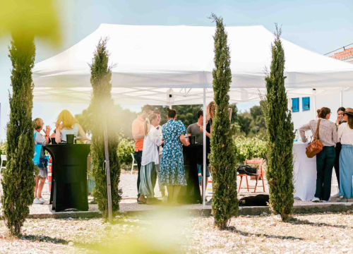 Fotografija 16 - Iskoristite priliku za besplatan prijevoz mini busom u petak na Danima otvorenih kušaonica!