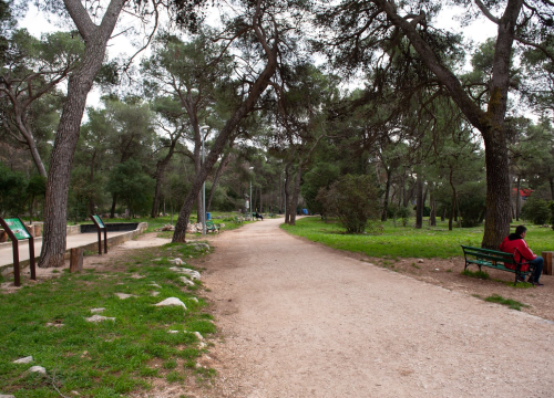 Kampanja 'Hrvatska volontira' održava se do 14. svibnja kroz niz aktivnosti: Evo detaljan raspored