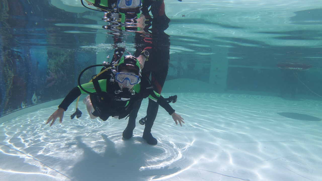 Pogled u plavo: Besplatno ronjenje u bazenu uz nadzor instruktora