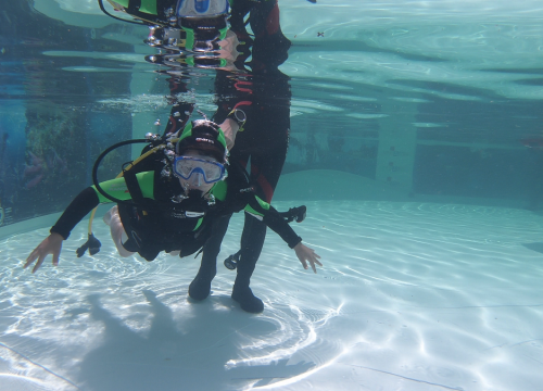 Pogled u plavo: Besplatno ronjenje u bazenu uz nadzor instruktora