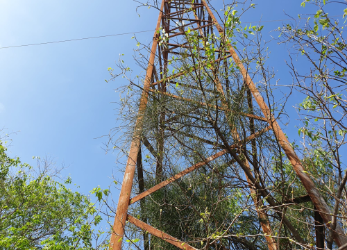 Utorak zbog radova na postrojenjima bez struje Bilo i Lemiš