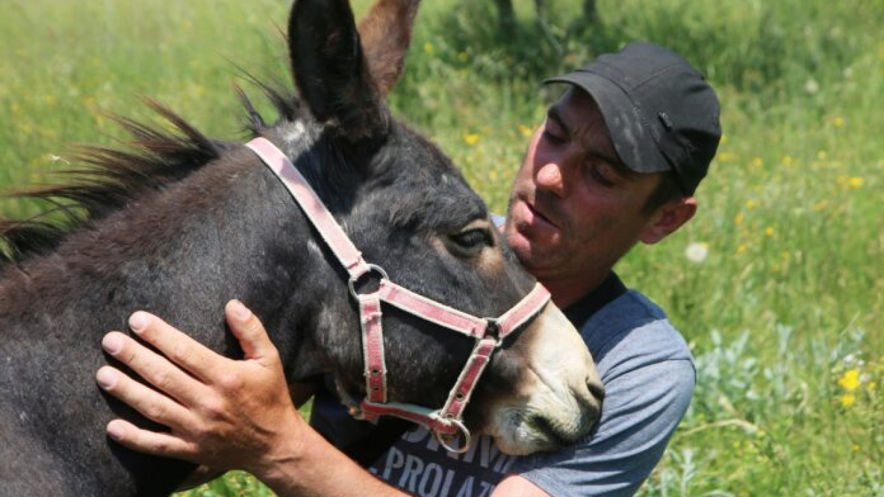 Pirovčanin Emil Livajić Deva nakon borbe s tumorom opet jaše!