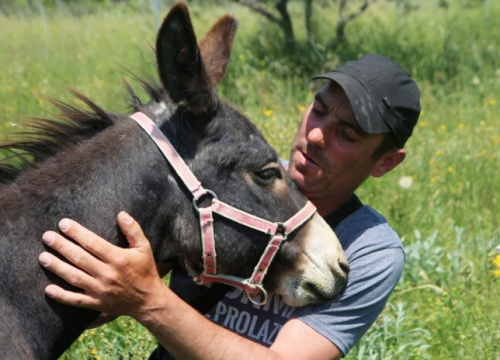 Pirovčanin Emil Livajić Deva nakon borbe s tumorom opet jaše!