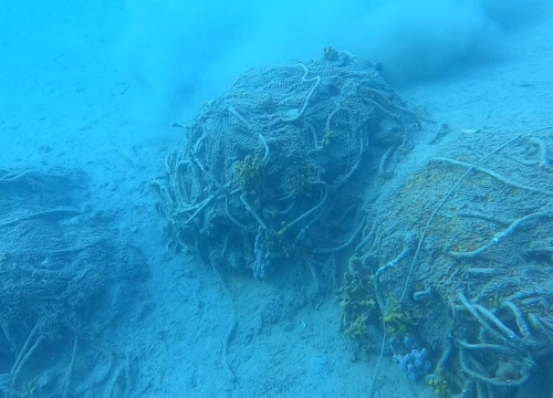 Pogledajte kako izgleda podmorje u uvali Šarina draga u Zatonu koja dva mjeseca čeka sanaciju