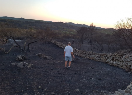Posljedice požara u zaleđu: 'Izgorile su sve masline, ne vjerujem da se može išta spasiti'