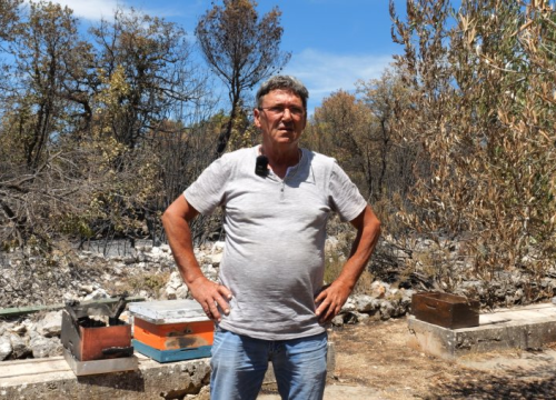 U požaru ostao bez dobrog dijela svojih pčela: 'Najbitnije je da su nam glave na mistu'