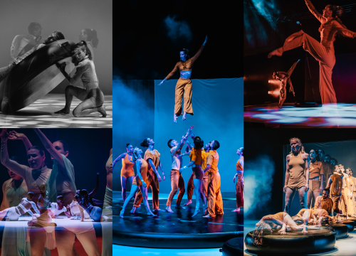 Šibenski plesni festival otvoren vratolomijama: Grad je idućih pet dana plesni centar svijeta