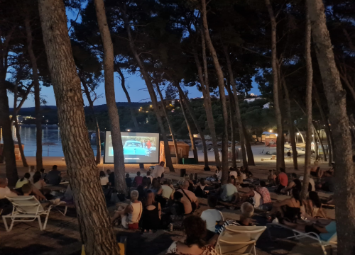 Primošten ima kino na otvorenom, a večeras možete pogledati francusku komediju