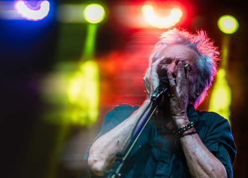 Dobri, stari, uvijek mladi Rundek. I Ekipa.