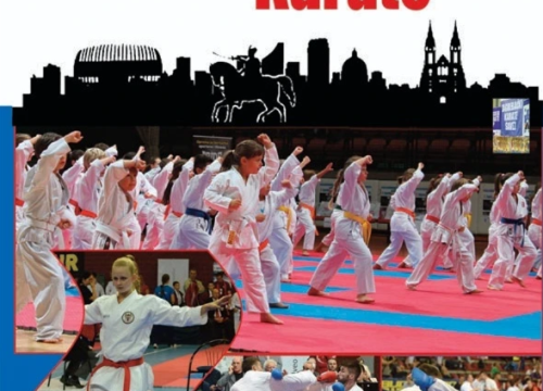 Fotografija 4 - Tri člana Karate kluba Šibenik u finalu zagrebačkog turnira