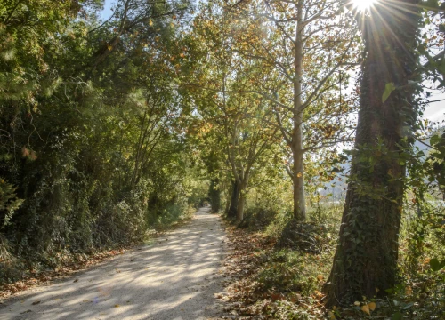 Fotografija 4 - Povoljnije ulaznice i vođenja: NP Krka i ove godine dio Europskog tjedna mobilnosti