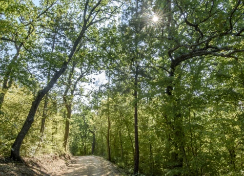 Fotografija 2 - Povoljnije ulaznice i vođenja: NP Krka i ove godine dio Europskog tjedna mobilnosti