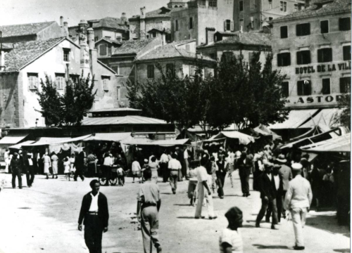 Šibenski leksikon: Oštrokondžu nije za držati u kući niti se s njon vanka paćati