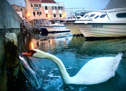 Pitki podzemni put ispod Vodica dobit će ime 'Vodica'