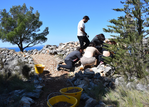 U nedjelju pošumljavanje saniranog deponija Leć