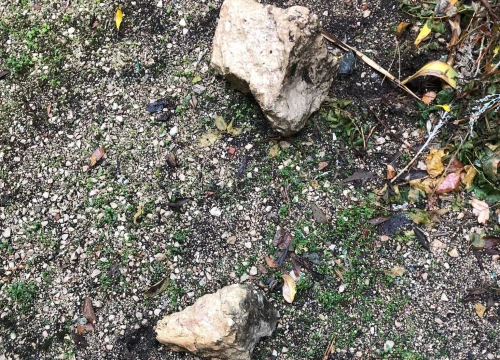 Fotografija 3 - 'Čeka li gradska uprava da netko pogine?' Stanari Škopinca na mukama, u dvorišta im godinama padaju stijene