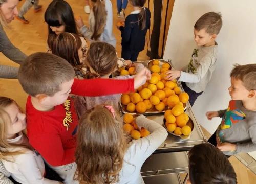 Fotografija 6 - Inovatori posjetili djecu u vrtiću Vidici: 'Kad je baka po vrtu posipala otrovno gnojivo, ubila je mog ježa'