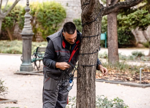 Fotografija 5 - Brojimo sitno do najveselijih dana u godini: Počelo čišćenje i ukrašavanje Đardina