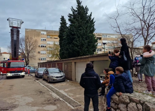 Fotografija 1 - Vatrogasci sa čempresa na Baldekinu spasili macu: Na intervenciju stigli za desetak minuta