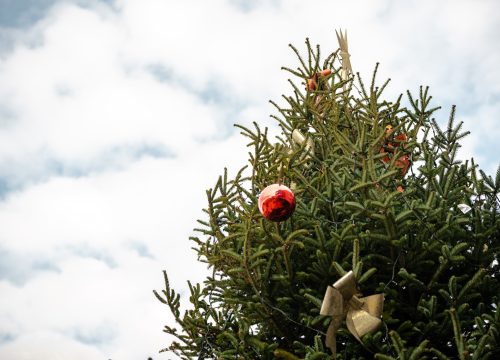Znate li zašto slavimo Božić baš 25. prosinca?