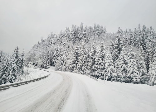 Fotografija 6 - Žute podmornice gostovale u Sarajevu na 5. Zimskom međunarodnom Derby kupu 2023.