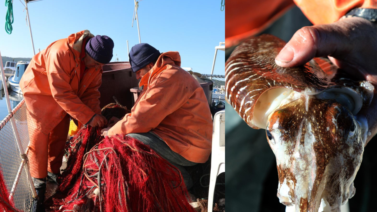 Ribarska crtica iz Zablaća: ‘To je otrovno isto k'o pauk, gleda san na televiziji’