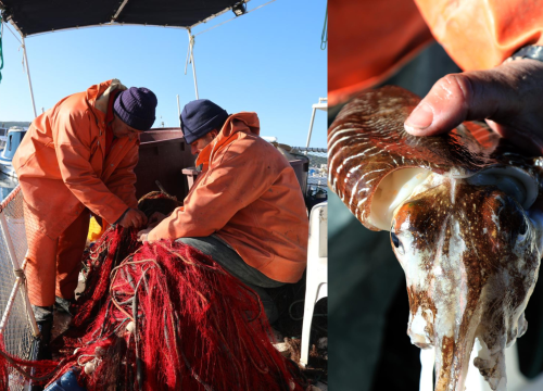 Ribarska crtica iz Zablaća: ‘To je otrovno isto k'o pauk, gleda san na televiziji’